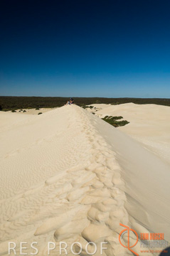 October 2006 / KI_LITTLE_SAHARA_003_061016