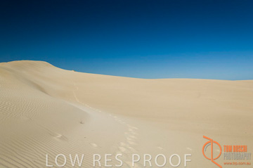 October 2006 / KI_LITTLE_SAHARA_005_061016