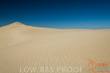 October 2006 / KI_LITTLE_SAHARA_008_061016