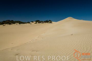 October 2006 / KI_LITTLE_SAHARA_009_061016