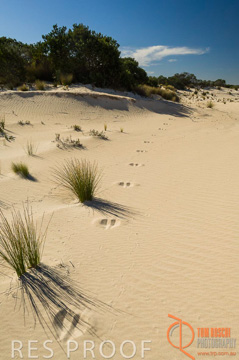 October 2006 / KI_LITTLE_SAHARA_013_061016