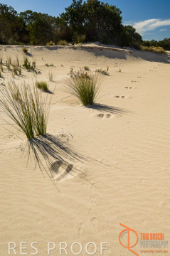 October 2006 / KI_LITTLE_SAHARA_014_061016