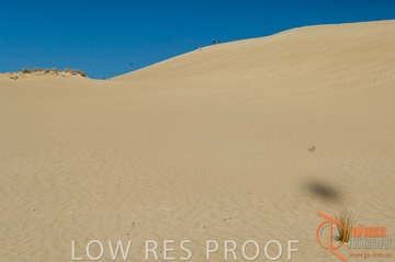 October 2006 / KI_LITTLE_SAHARA_017_061016