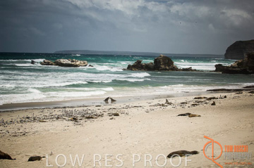 October 2006 / KI_SEAL_BAY_025_061014