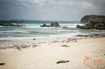 October 2006 / KI_SEAL_BAY_026_061014