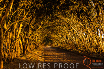 October 2006 / KI_WILLOUGHBY_RD_025_061015