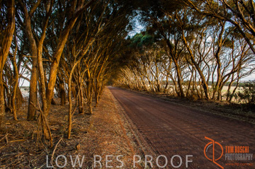 October 2006 / KI_WILLOUGHBY_RD_028_061015