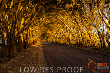 October 2006 / KI_WILLOUGHBY_RD_030_061015