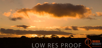 October 2006 / KI_WILLOUGHBY_RD_035_061015