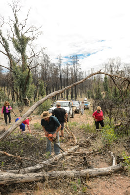 WIRRABANA_023_150403_RAW