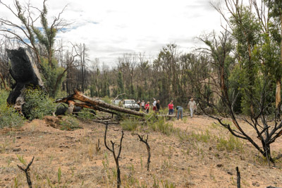 WIRRABANA_026_150403_RAW