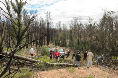 WIRRABANA_028_150403_RAW