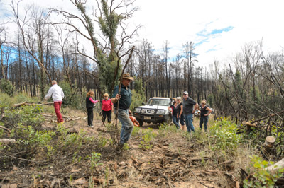 WIRRABANA_032_150403_RAW