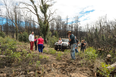 WIRRABANA_033_150403_RAW