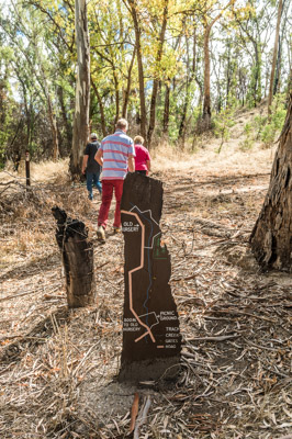 WIRRABANA_095_150403_RAW