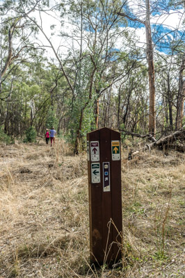 WIRRABANA_097_150403_RAW