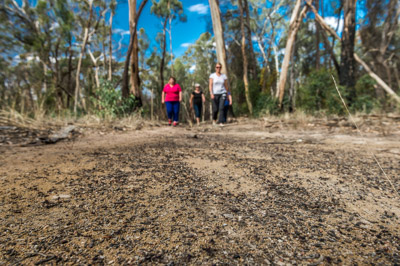 WIRRABANA_098_150403_RAW