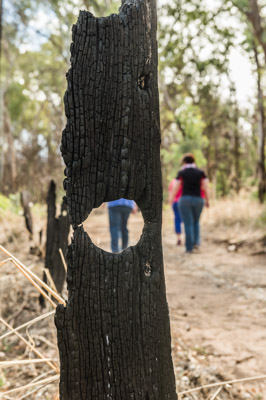 WIRRABANA_103_150403_RAW