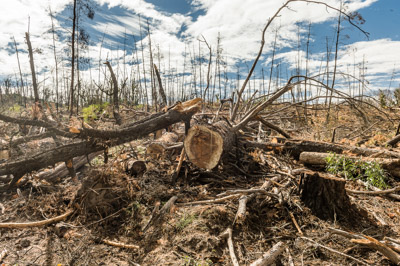 WIRRABANA_104_150403_RAW