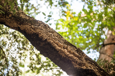 WIRRABANA_109_150403_RAW