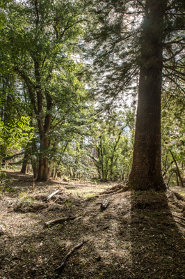 WIRRABANA_112_150403_RAW