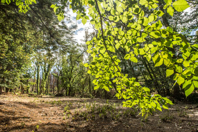 WIRRABANA_113_150403_RAW