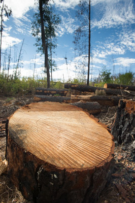 WIRRABANA_115_150403_RAW