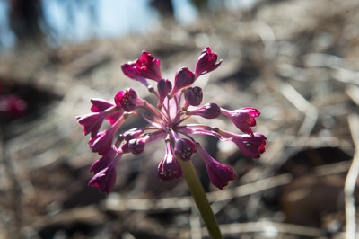 WIRRABANA_133_150404_RAW