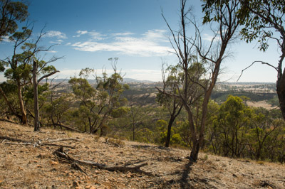 WIRRABANA_135_150404_RAW