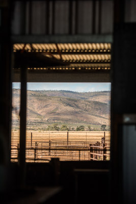 WIRRABANA_140_150404_RAW