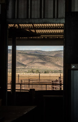 WIRRABANA_141_150404_RAW