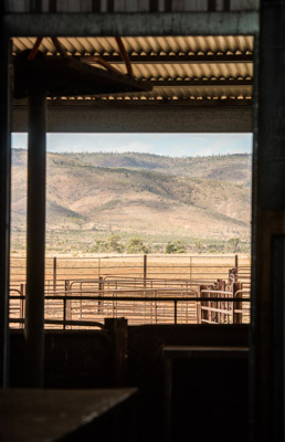 WIRRABANA_142_150404_RAW