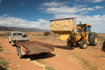 WIRRABANA_143_150404_RAW