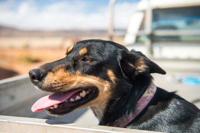 WIRRABANA_145_150404_RAW