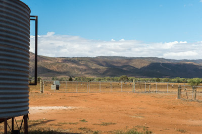 WIRRABANA_146_150404_RAW