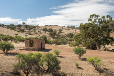 WIRRABANA_194_150405_RAW