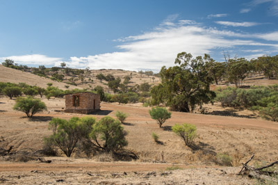 WIRRABANA_195_150405_RAW