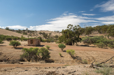 WIRRABANA_196_150405_RAW