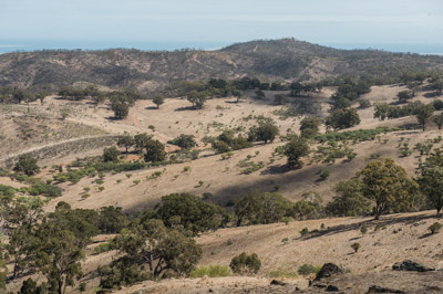 WIRRABANA_201_150405_RAW