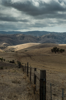 WIRRABANA_204_150405_RAW
