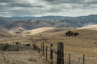 WIRRABANA_205_150405_RAW