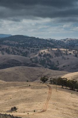 WIRRABANA_208_150405_RAW