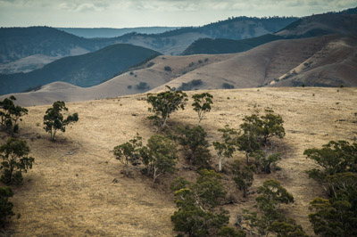 WIRRABANA_213_150405_RAW