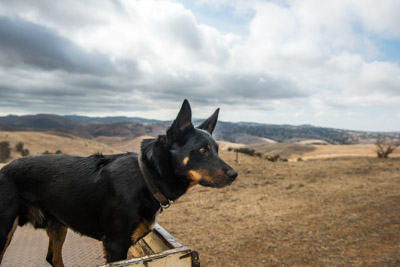 WIRRABANA_215_150405_RAW