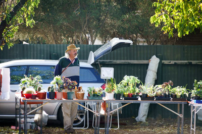 WIRRABANA_251_150406_RAW