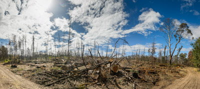 WIRRABANA_P04_001_150403810728x4778_RAW-2