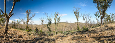 WIRRABANA_P05_001_150404912255x4598_RAW