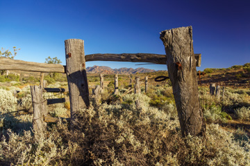 September 2013 / THE_RUN_2013_023_(130926)