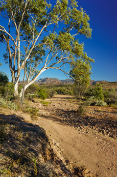 September 2013 / THE_RUN_2013_033_(130926)