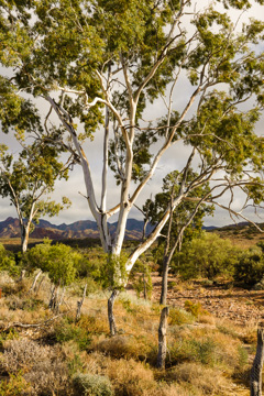 August 2011 / _TRP7235